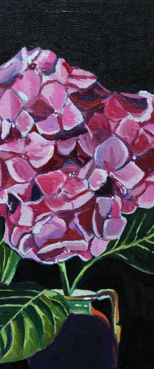 Mourning Hydrangea by Emma Cownie