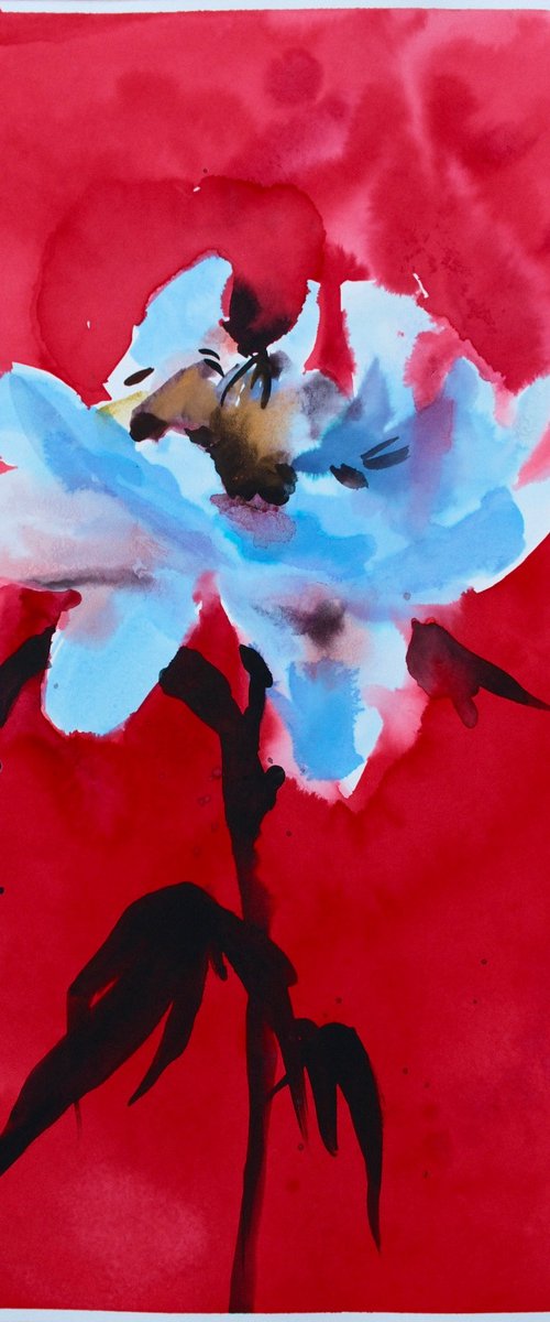 Peony by Belyaeva Oleksandra