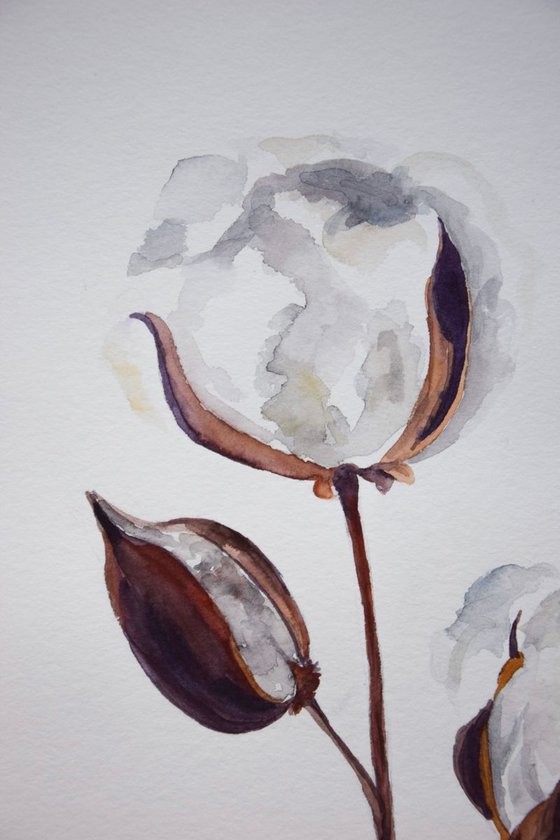 Set of 2 COTTON bolls watercolor paintings, Flowers abstract, Shabby Chic wall art