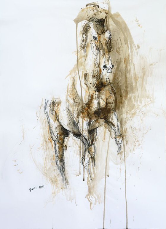 Equine Nude 75t