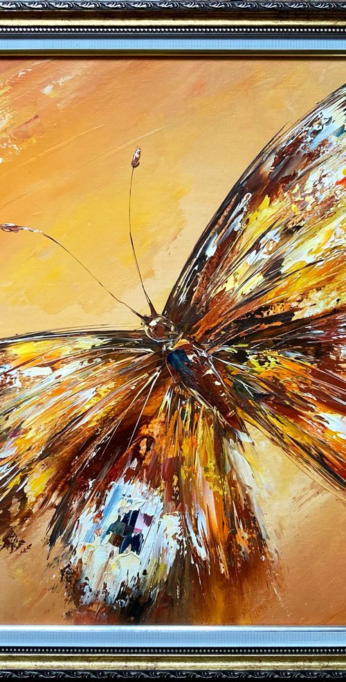 Butterfly by Olena  Romanenko