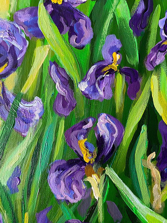 Iris Garden
