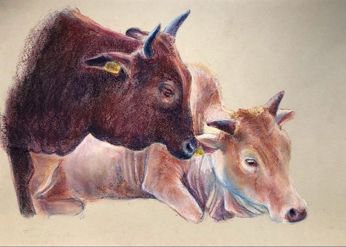 Study of cows by Daria Startseva