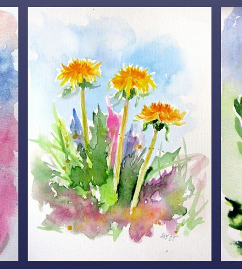 Dandelions collection by Kovács Anna Brigitta