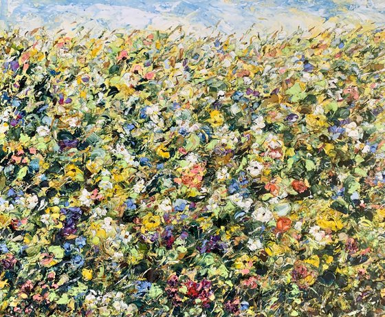 Blooming field