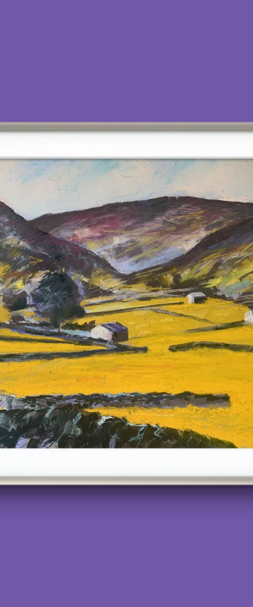 Swaledale Colour by Andrew Moodie