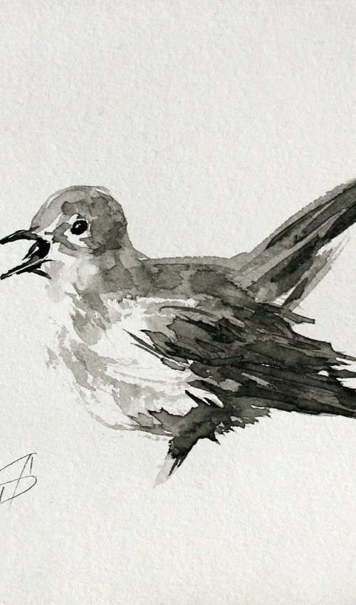 Bird II. Ink /  From my a series of mini works BIRDS /  ORIGINAL PAINTING by Salana Art Gallery