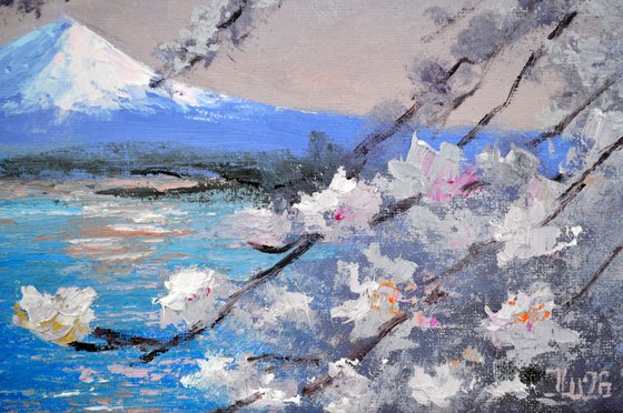 Mt. Fuji & Cherry Blossoms, Kawaguchiko