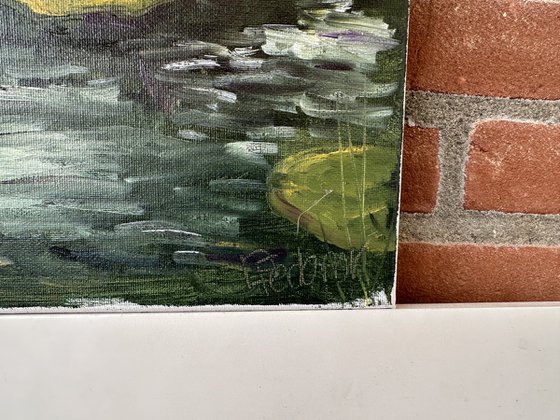 Water Lily Buds