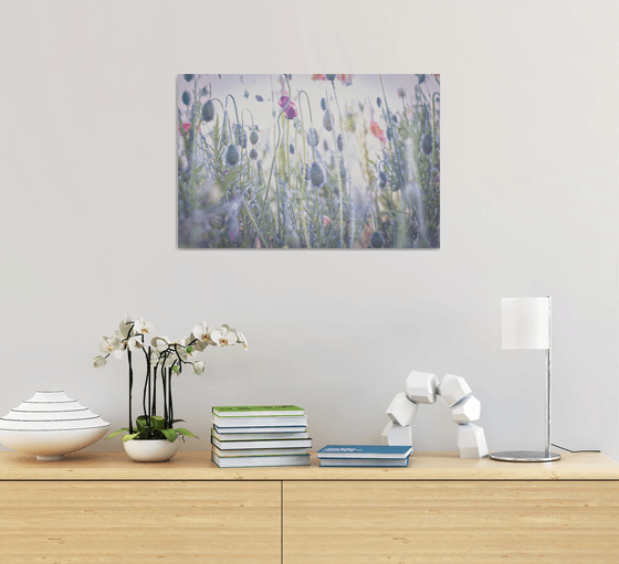 Watercolour style poppies