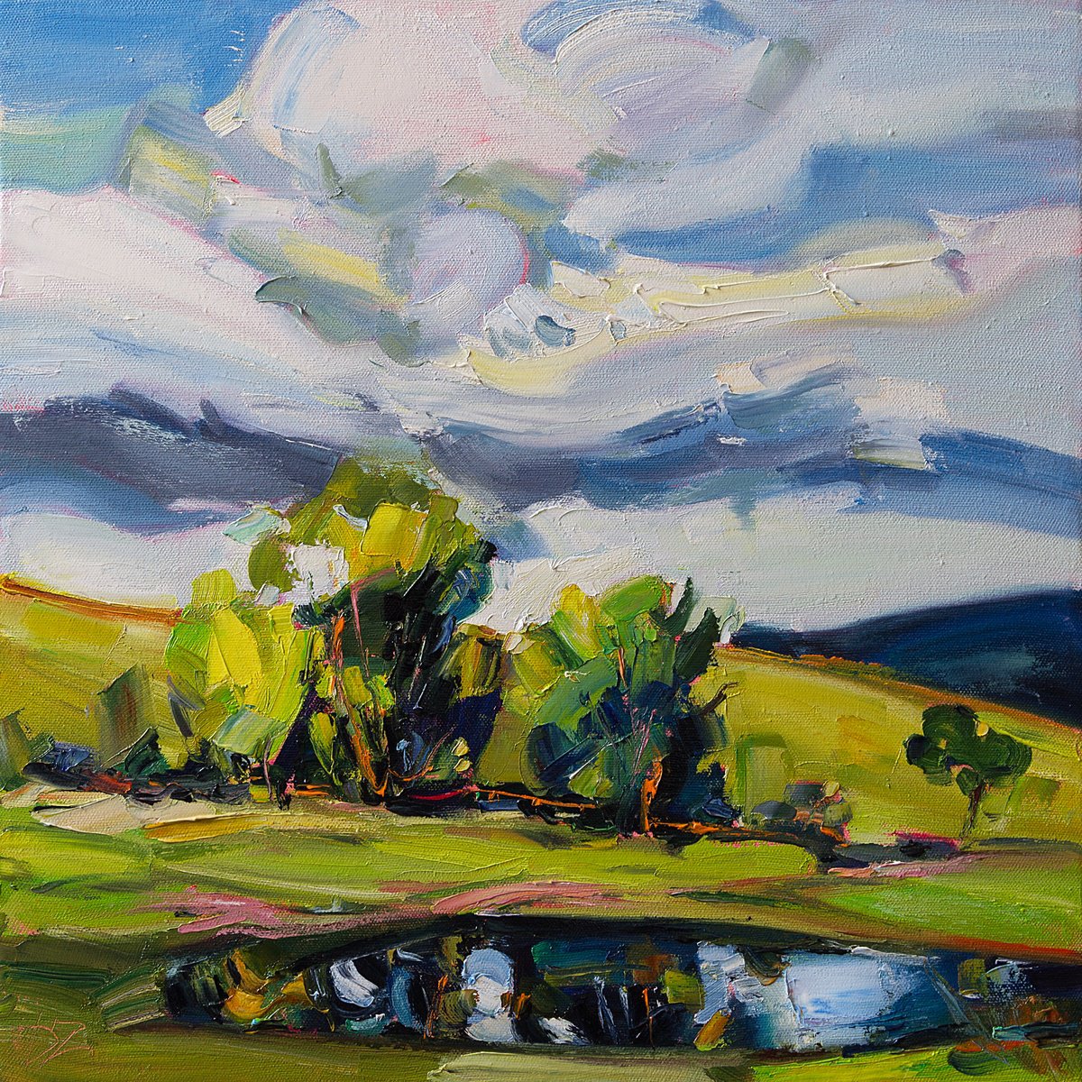 Impressionistic Landscape Oil Painting By Daria Zavadenko, 16 X 16, Wind Over The Hill, Original Artwork