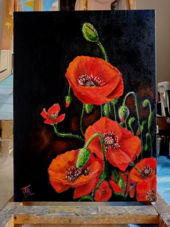 Red Poppies