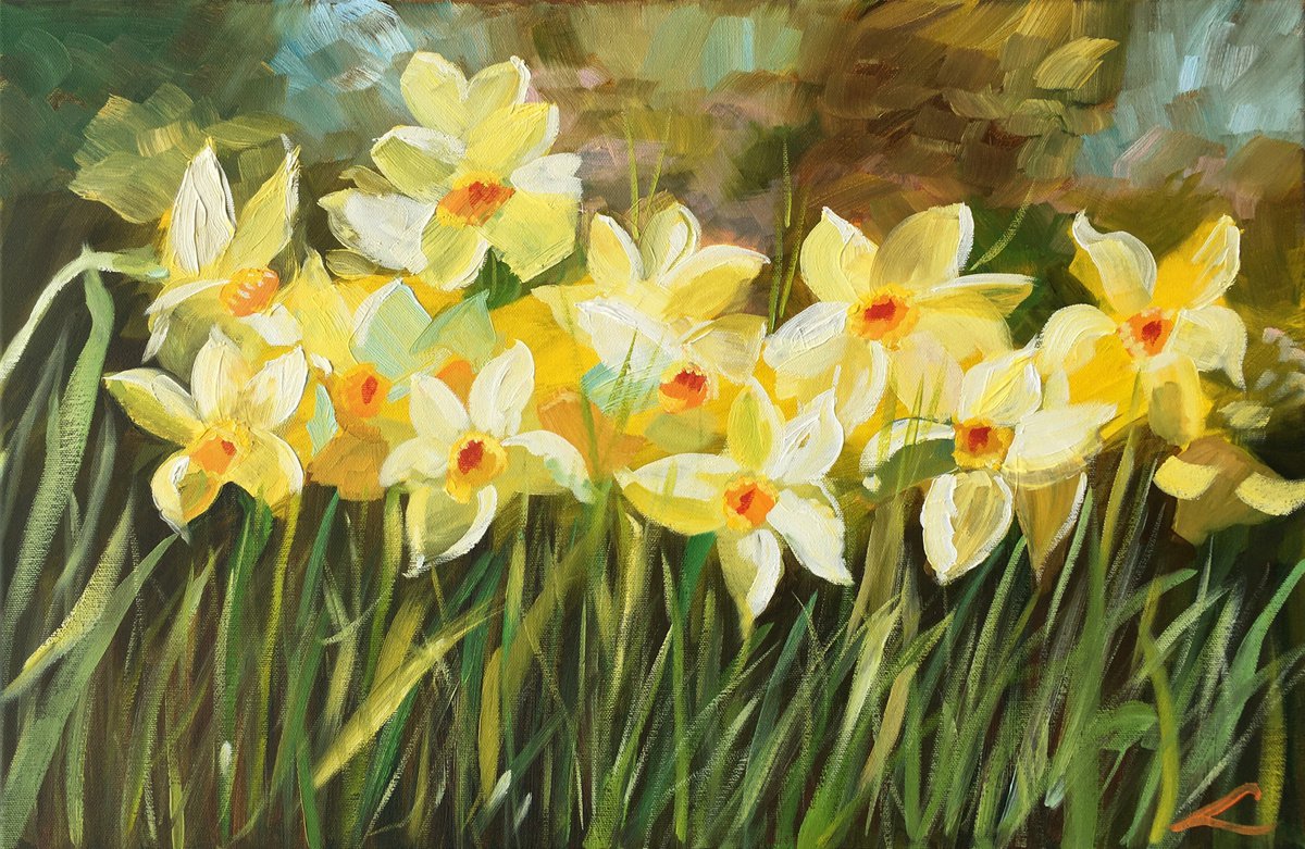 Impressionistic Botanical Oil Painting By Elena Sokolova, 24 X 16, Daffodils, Original Artwork