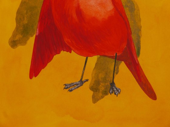 Red Blackbird
