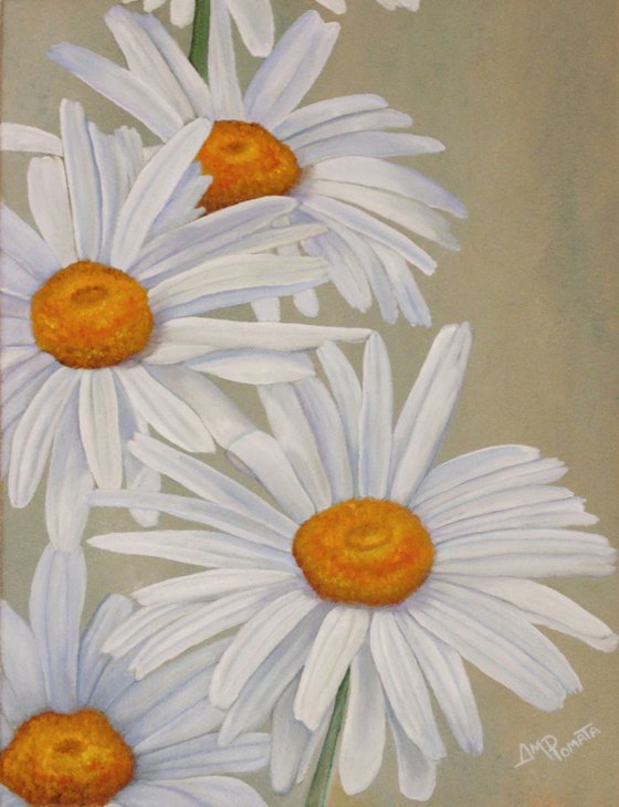 White Daisies