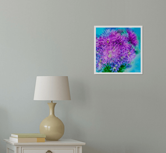 Abstract Flowers #3. Limited Edition 1/25 12x12 inch Photographic Print.