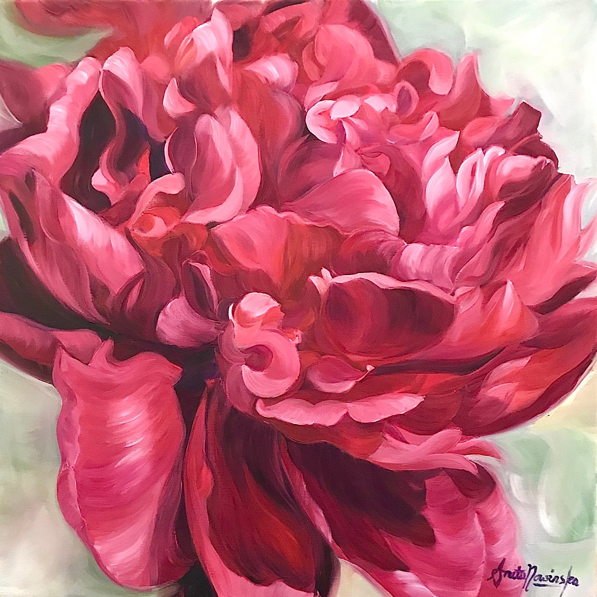 Felicity- Red Peony By Anita Nowinska, 16 X 16, Artwork For Sale On Artfinder