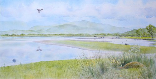 Osprey fishing - Bassenthwaite Water by John Horton