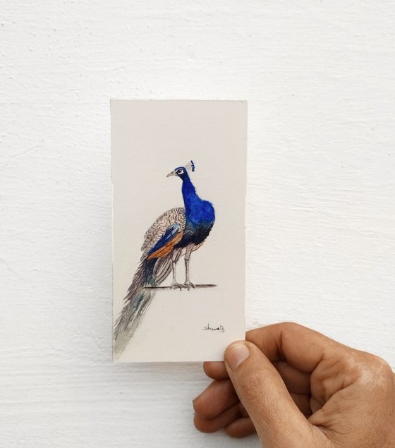 Peacock Miniature Art III