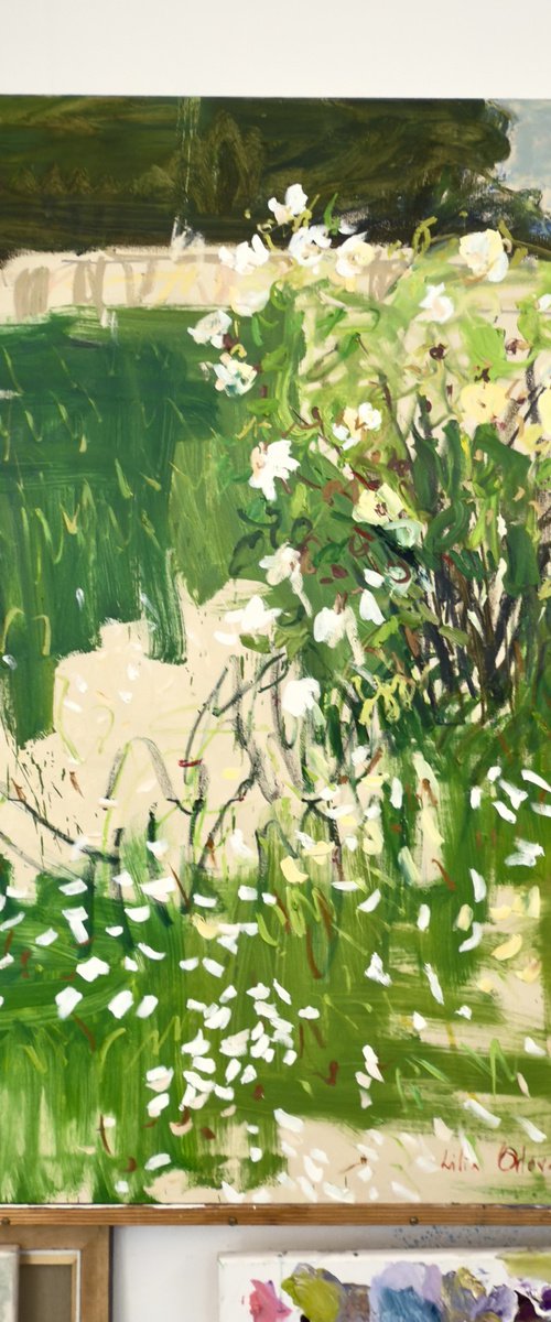 The white rose bush. by Lilia Orlova-Holmes