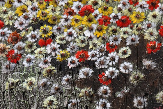 spring is coming