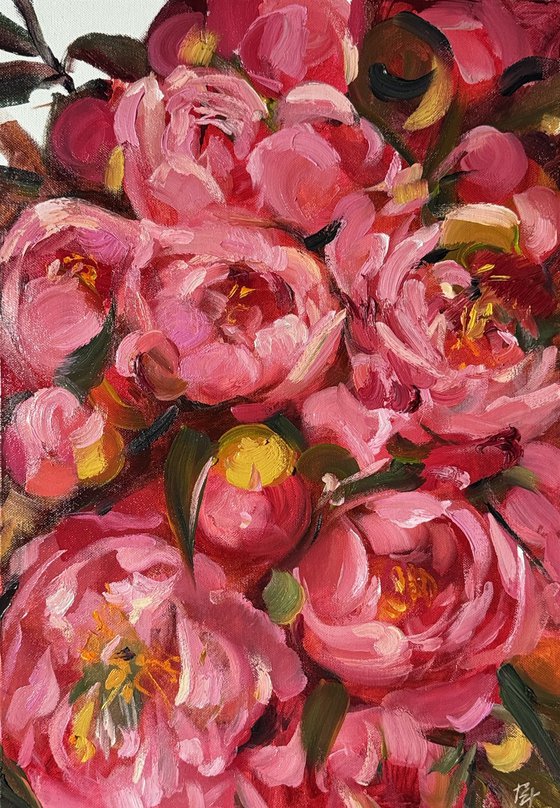 Red peonies flower