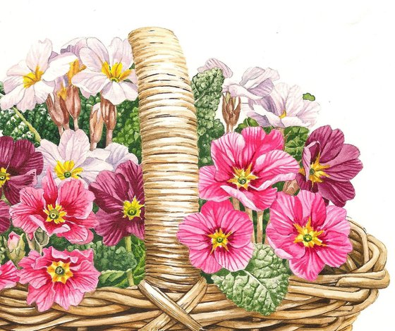 Ducklings and Primroses
