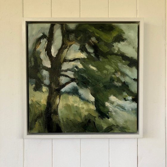 Leaning Pine