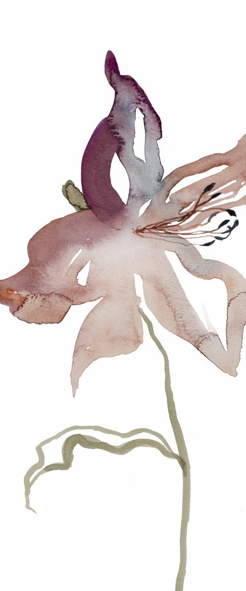 Lily No. 1 by Elizabeth Becker