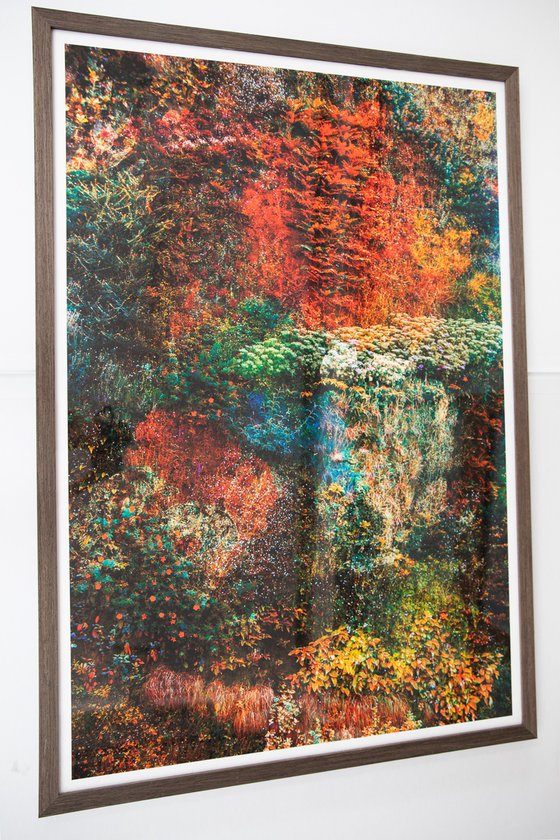 Wall of Nature LXVII (Framed)