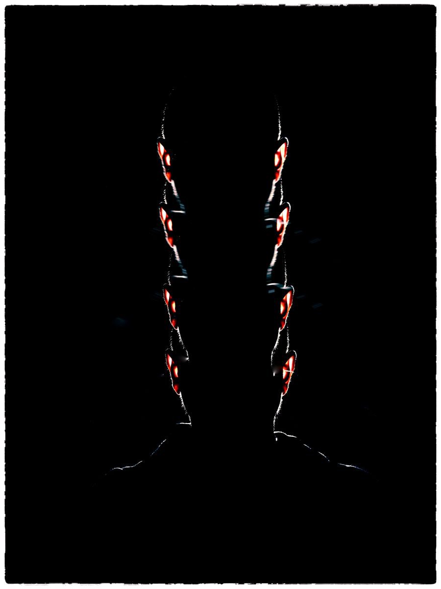 Organic Abstract Photograph By Marc Ehrenbold, 30 X 40", Four Heads Are Better Than One, Original Artwork