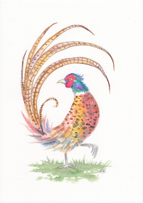 Pheasant by MARJANSART