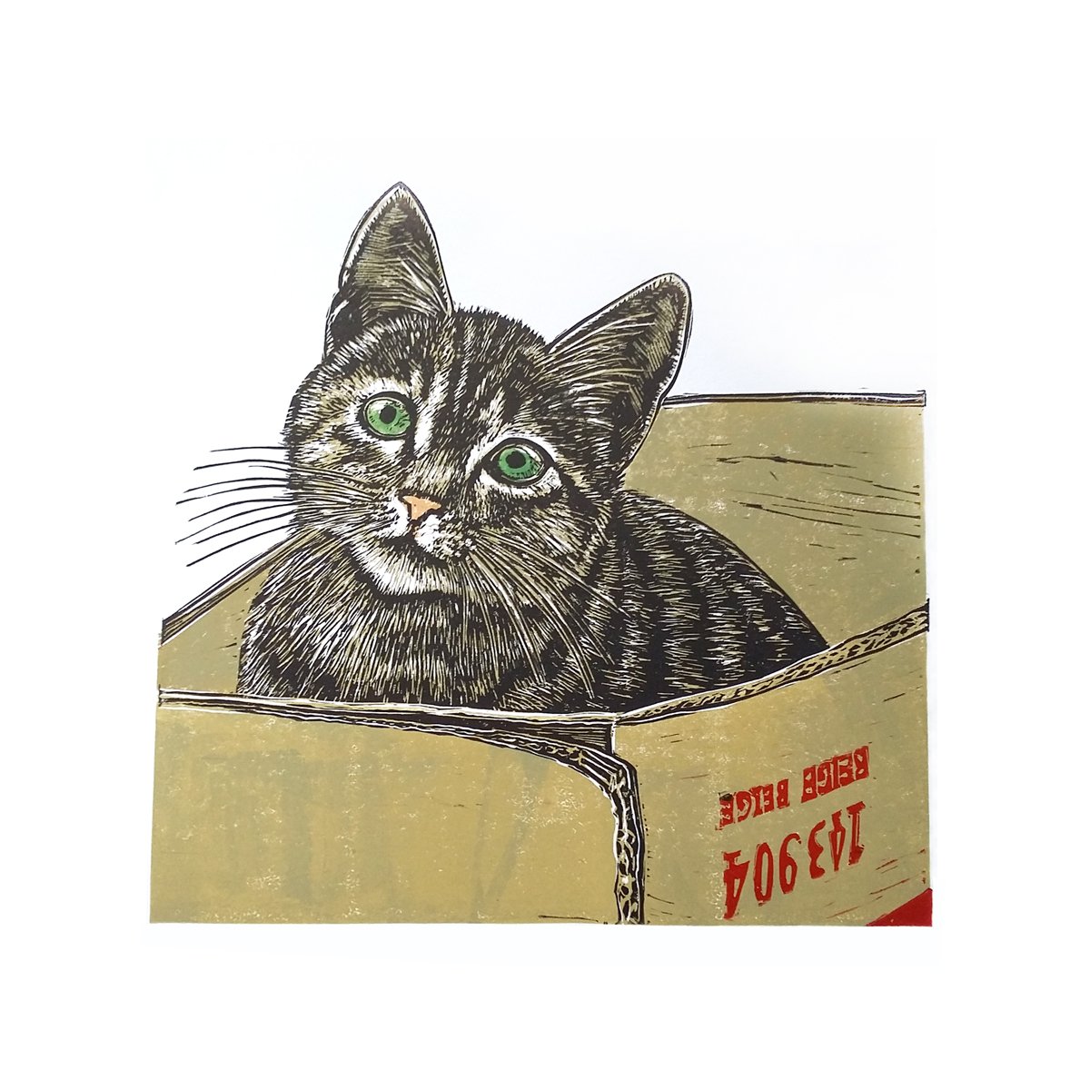 Jack (in a box) linocut cat in a cardboard box by Carolynne Coulson