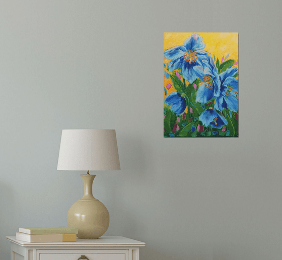 Blue Himalayan Poppies