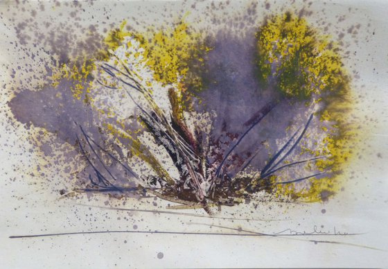 July flowering - Alpine Broom, 21x29 cm