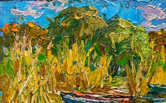 Boats on the shore