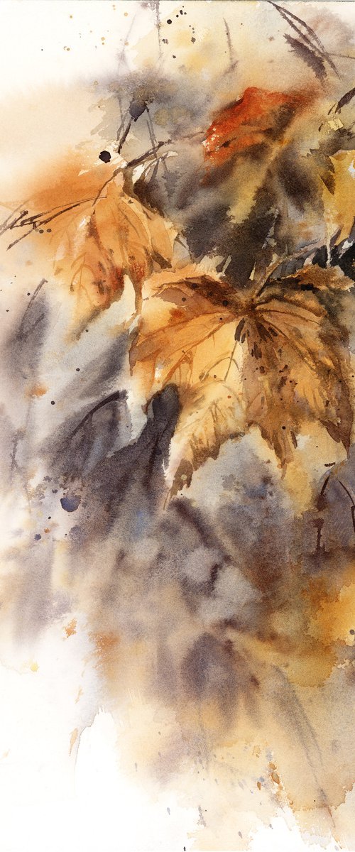 Autumn Maple Leaves by Sophie Rodionov