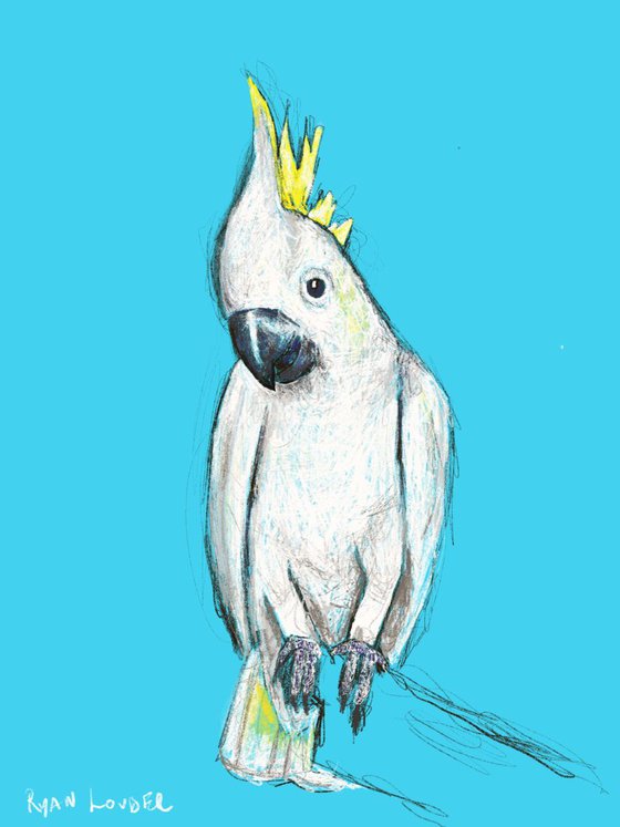 Birds Cockatoo For You