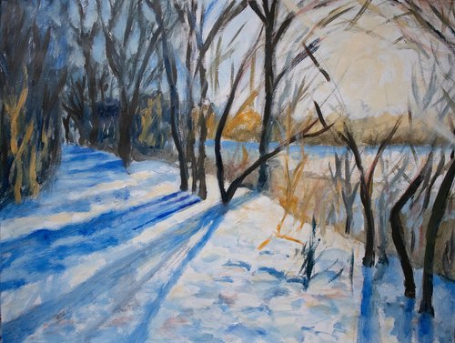 Sunny winter snow path by René Goorman