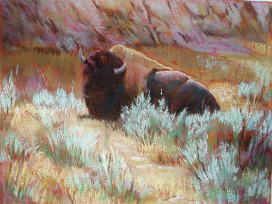 "Solitary Buffalo II"