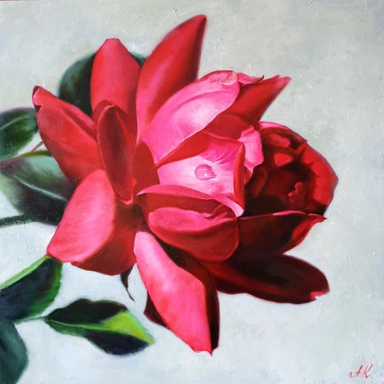 "Passionate. "  rose flower  liGHt original painting  GIFT (2021)