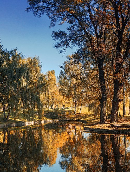 Autumn in the park. by Valerix