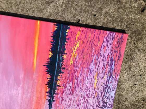 Calm. Pink sunset