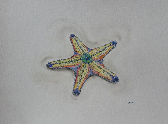 Starfish