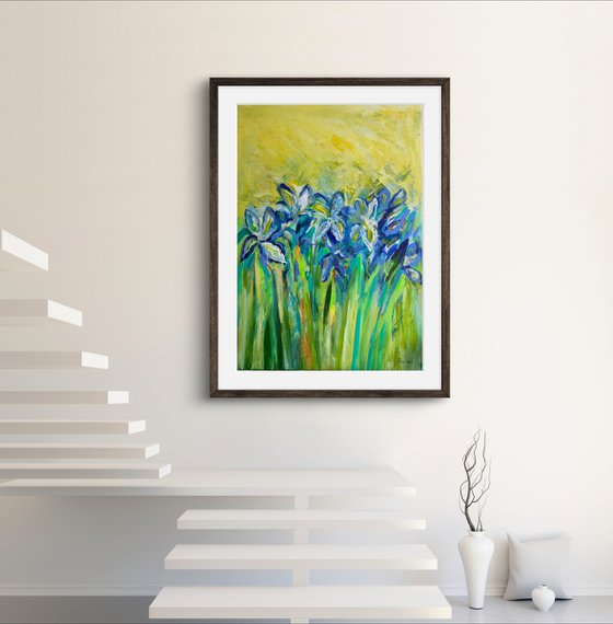Iris field