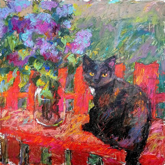 Lilac, black cat, red fence