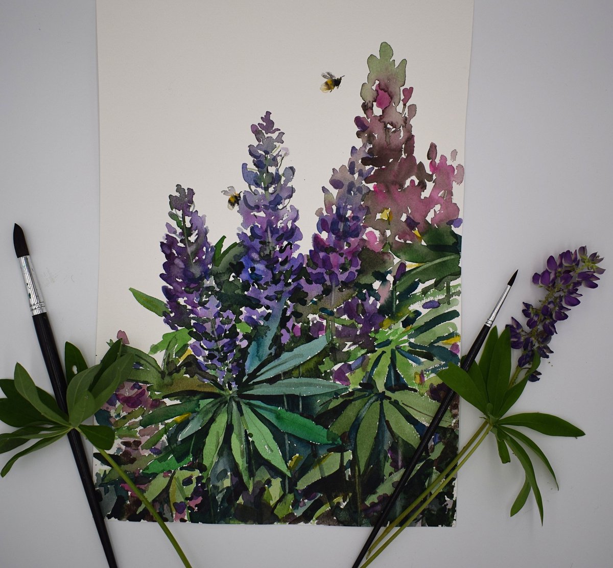 Lupine by Elena Sanina