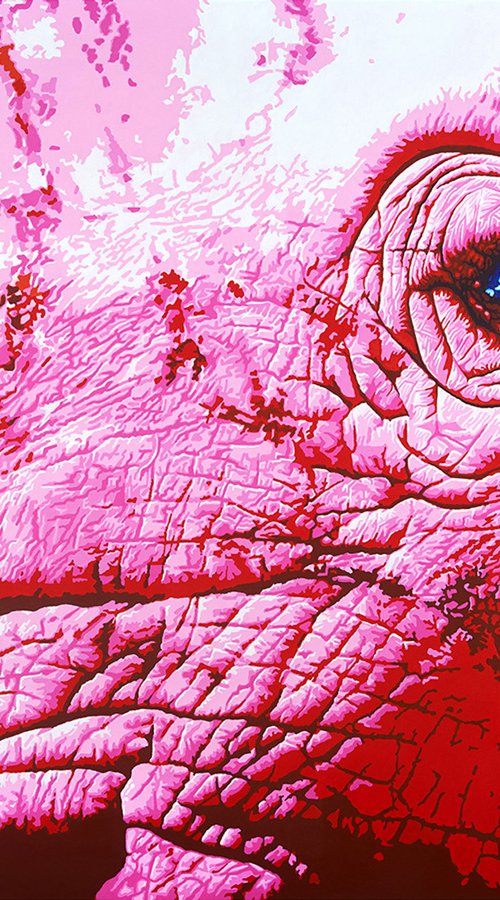 Pink Rhino by Sabrina Rupprecht