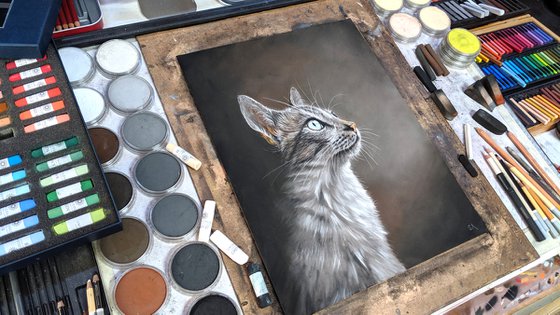 Cats Eyes VIII  (Original Painting)