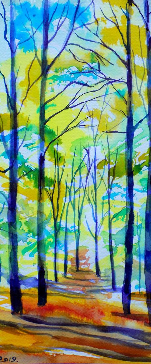 Forest path XII by Maja Grecic